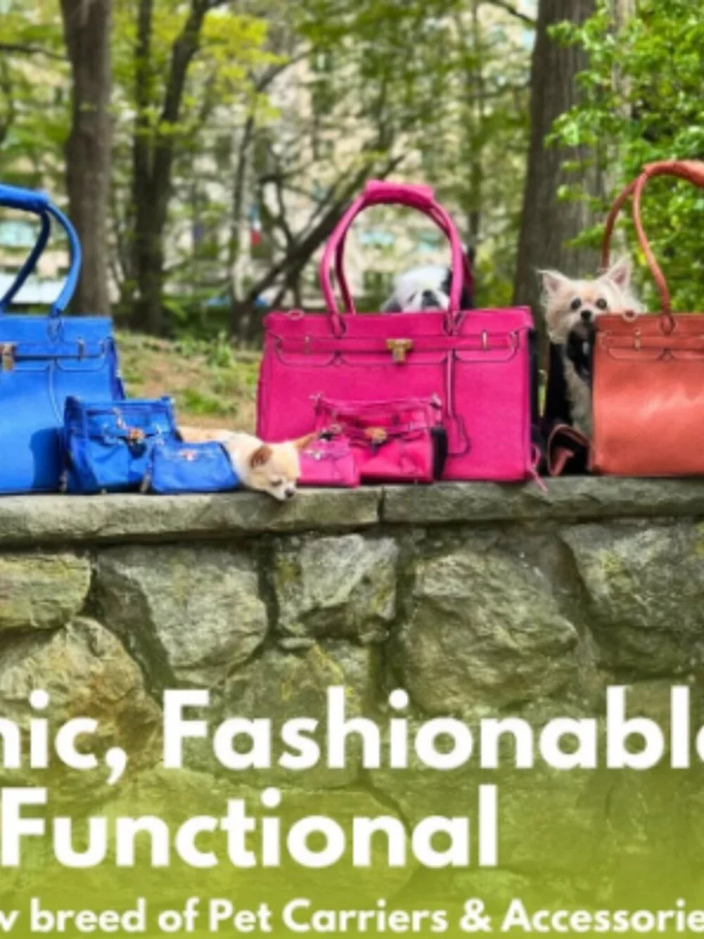 Luxury Airline-Approved Pet Carrier – Like New – Designer Handbag Style